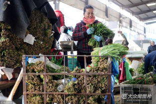 濟(jì)南憑雙證才能賣韭菜 出問(wèn)題直接找源頭，食用農(nóng)產(chǎn)品批發(fā)市場(chǎng)嚴(yán)把安全關(guān)